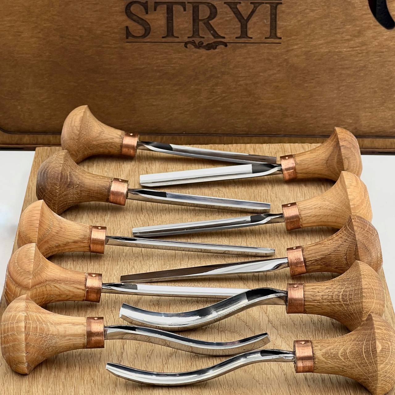 Palm carving tools set of 10 pcs, Gravers and burins STRYI Profi, Gift ready