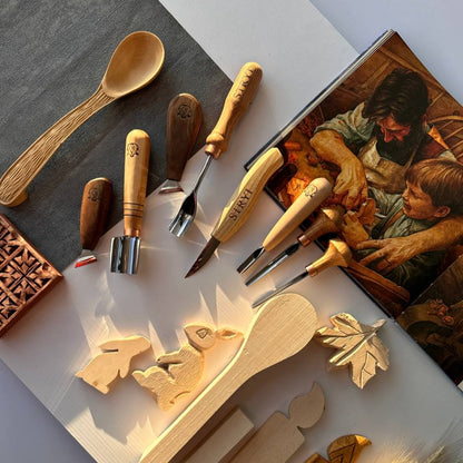 Versatile Wood carving kit STRYI Profi 12 pcs Gift for graduation
