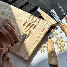 Cargar imagen en el visor de la galería, Juego de herramientas básicas para tallar madera para tallar en relieve, 5 piezas STRYI Profi
