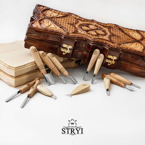 Startset für die Holzschnitzerei, Basisset mit 12 Werkzeugen, STRYI-AY Profi